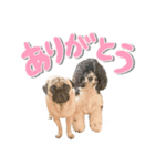 あんでぃ＆ろーじー（個別スタンプ：4）