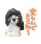 あんでぃ＆ろーじー（個別スタンプ：5）