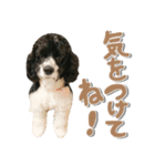 あんでぃ＆ろーじー（個別スタンプ：8）