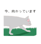 レオとミーナのほのぼの猫の敬語。（個別スタンプ：15）