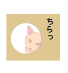 レオとミーナのほのぼの猫の敬語。（個別スタンプ：16）