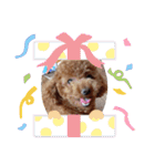 コロンちゃんスタンプ(2)（個別スタンプ：17）
