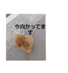 コロンちゃんスタンプ(2)（個別スタンプ：28）
