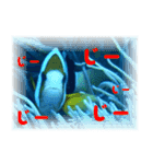慶良間の海の魚たち（個別スタンプ：7）