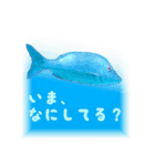 慶良間の海の魚たち（個別スタンプ：10）