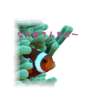 慶良間の海の魚たち（個別スタンプ：11）