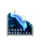 慶良間の海の魚たち（個別スタンプ：12）