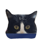 のこのすたんぷ（個別スタンプ：3）
