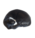 のこのすたんぷ（個別スタンプ：4）