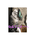 蘭丸まる  7（個別スタンプ：6）
