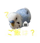 セキセイインコとサザナミインコ（個別スタンプ：14）