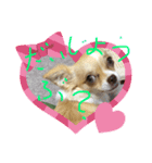 はるちゃん その七（個別スタンプ：2）