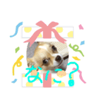はるちゃん その七（個別スタンプ：5）