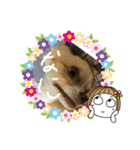 はるちゃん その七（個別スタンプ：7）