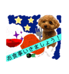 トイプーな生活5th.（個別スタンプ：6）