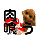 トイプーな生活5th.（個別スタンプ：7）