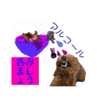 トイプーな生活5th.（個別スタンプ：8）