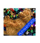 トイプーな生活5th.（個別スタンプ：11）