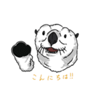 こう見えてラッコです。（個別スタンプ：1）