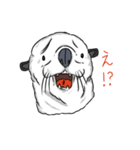 こう見えてラッコです。（個別スタンプ：17）