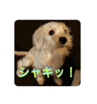 Itokubowwow 2（個別スタンプ：2）