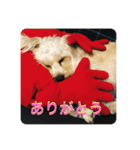 Itokubowwow 2（個別スタンプ：4）