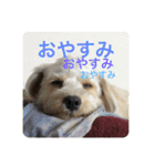 Itokubowwow 2（個別スタンプ：6）