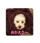 Itokubowwow 2（個別スタンプ：7）