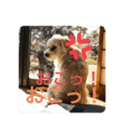 Itokubowwow 2（個別スタンプ：8）