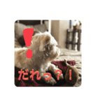 Itokubowwow 2（個別スタンプ：9）