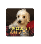 Itokubowwow 2（個別スタンプ：10）