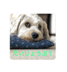 Itokubowwow 2（個別スタンプ：12）