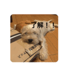 Itokubowwow 2（個別スタンプ：17）