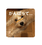 Itokubowwow 2（個別スタンプ：18）