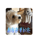 Itokubowwow 2（個別スタンプ：19）
