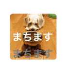 Itokubowwow 2（個別スタンプ：20）