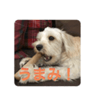 Itokubowwow 2（個別スタンプ：21）