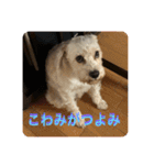 Itokubowwow 2（個別スタンプ：22）