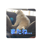 Itokubowwow 2（個別スタンプ：24）