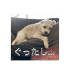 Itokubowwow 2（個別スタンプ：25）