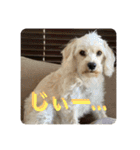 Itokubowwow 2（個別スタンプ：28）