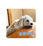 Itokubowwow 2（個別スタンプ：30）
