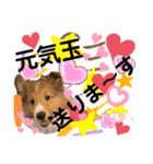 パピシェル③王子kun[応援編]頑張ろう（個別スタンプ：11）