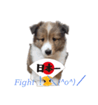 パピシェル③王子kun[応援編]頑張ろう（個別スタンプ：14）