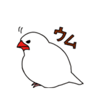 プクプク文鳥絵日記（個別スタンプ：2）