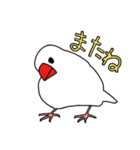 プクプク文鳥絵日記（個別スタンプ：16）