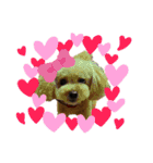 愛犬達！！（個別スタンプ：3）