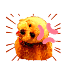 愛犬達！！（個別スタンプ：7）