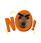 愛犬達！！（個別スタンプ：10）