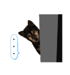 愛犬達！！（個別スタンプ：13）